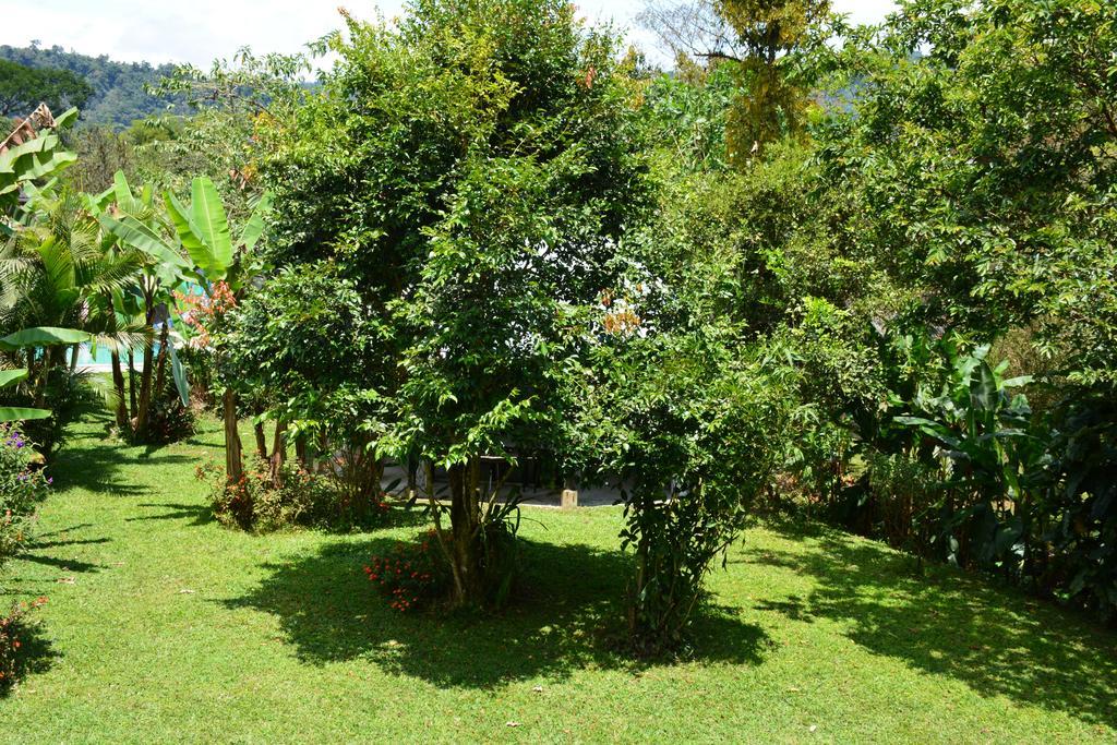 Ostello Casa De Piedra Mindo Esterno foto